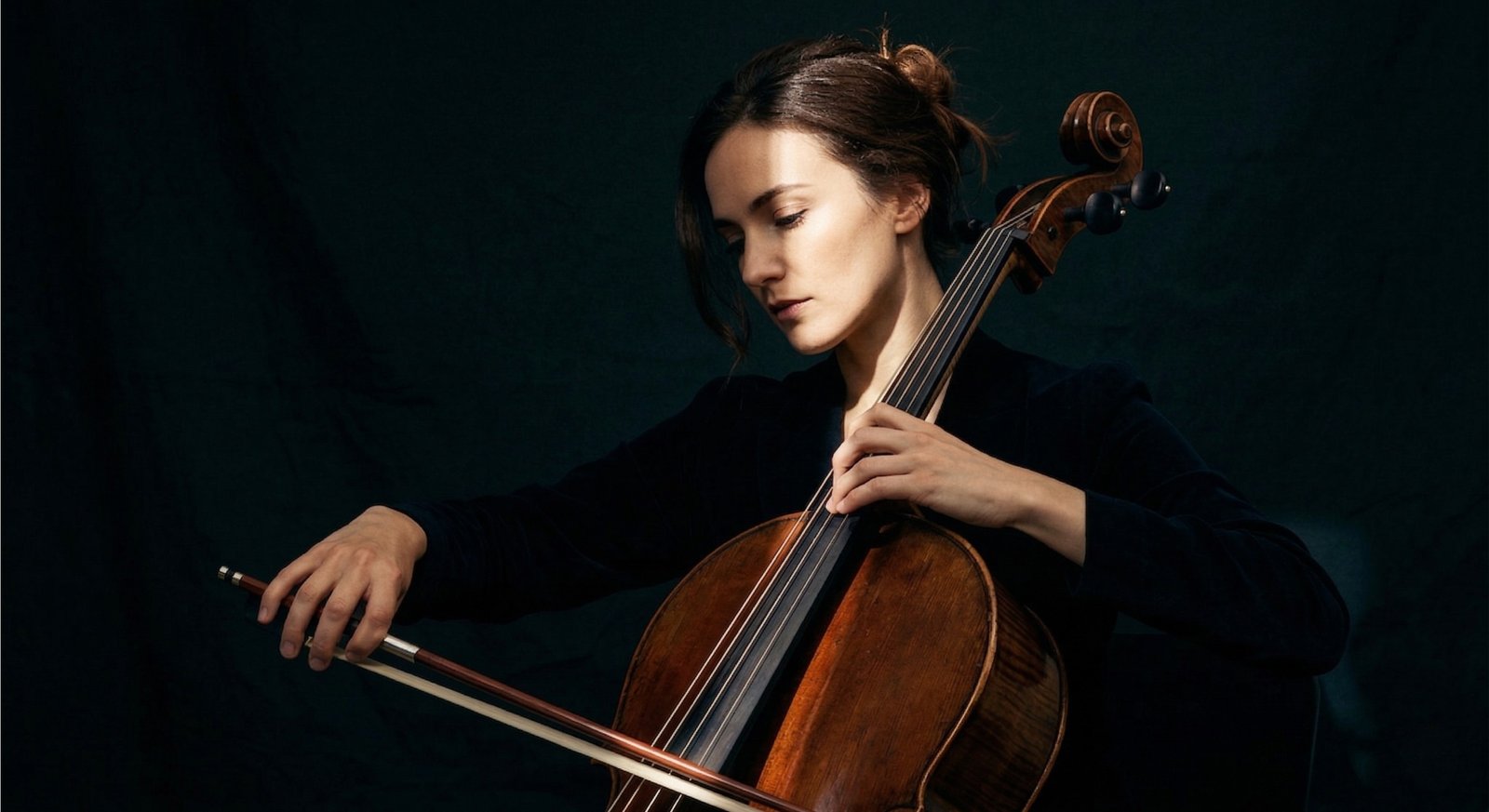 Violoncelo
